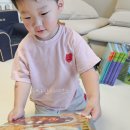 조물조물 이미지