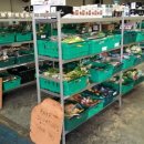 착한슈퍼마켓 이미지