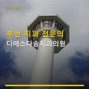 부산 치과 전문의 디에스다솜치과의원 다양한 치료 방법과 친절한 서비스