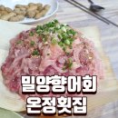 삼랑진횟집 | [밀양삼랑진]온정횟집 향어회 맛집 추천