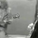 Pink House 이미지