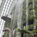 새들약국 | 연말 연초 싱가폴 4박 5일 (12/31~1/4)