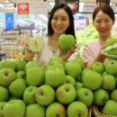 연두사과 이미지