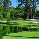 TOP GOLF클럽 이미지