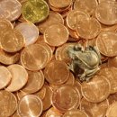 금두꺼비 이미지