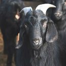 증산진료소 이미지