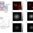 모아 광학 이미지