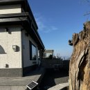 남해 돈섬 이미지