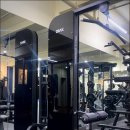 트렌디바디 이미지