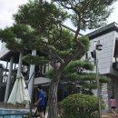 주나펜션 이미지