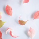 반포대로28길 94 이미지