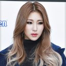 (주)자이언트스타 이미지