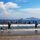 신지면-1 이미지