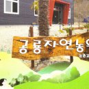 공룡자연농원