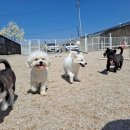 금촌유치원 이미지