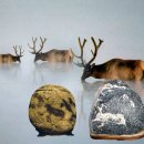 수석 농장 이미지