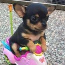 군산자동차학원 이미지