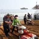 성공시대 이미지