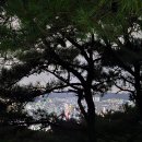 장미동산(우) 이미지