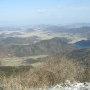 박종단 Daum카페