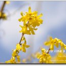 진동초등학교 이미지