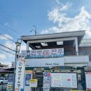 홍귤 | 디지털온누리 상생페이백 • 창원명서시장 무진수산 대방어 남해상회 홍귤