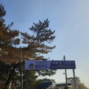 🐶어썸펫그라운드🐶 애견카페, 놀이터, 캠핑장, 애견숙소 완비(애견 복합놀이문화공간)