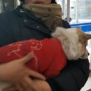 용두초등학교 이미지