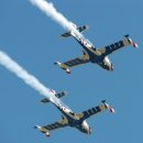 블랙이글 이미지