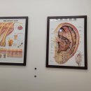 (주)셀비오 이미지