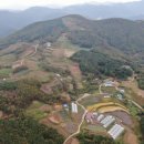 박달4리 CBN뉴스