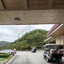 골드리버cc 이미지