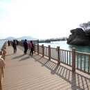 갓바위로 이미지