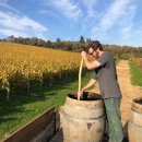 서늘기교 이미지