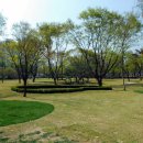 파크중기 이미지