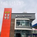 포시즌 동물병원 네이버블로그