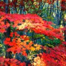 광릉금리원 이미지