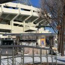 경기(대원)고속 | 웰리힐리 스키장 셔틀버스 타는 법｜뚜벅이도 편하게 가는 방법⛷️