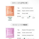 팬비즈파트너스 | [내돈내산] 라비킷 스타일킷 미니의류관리기 1년 사용 후기