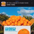 주식회사 제주페이