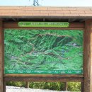 대관령목장 이미지