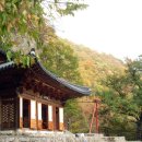 삶 오로지 다 Daum카페
