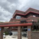 둥지짬뽕 이미지