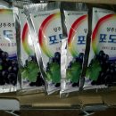 샬롬농원 이미지