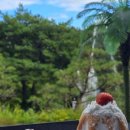 한다리 이향갈비 이미지