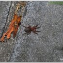 우주 행정사 이미지