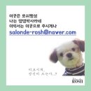로쉬헤어살롱