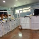 결이때문에 할 수 있었던 봉사 후기! 이미지