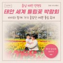 꽃지후문주차장(번영회 옆) | 충남.태안.안면도] 아이랑 가볼만한 곳 <태안 세계 튤립 꽃 박람회> 예약, 주차, 애견동반, 주말 방문 후기
