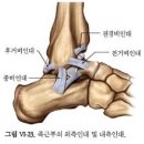 워너비핏 이미지